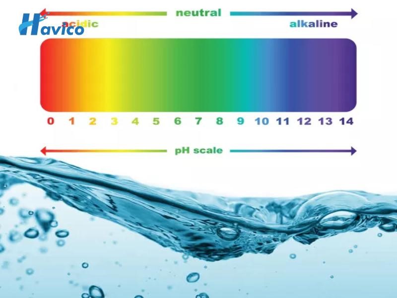 Tại sao nên cân bằng độ pH cho hồ bơi