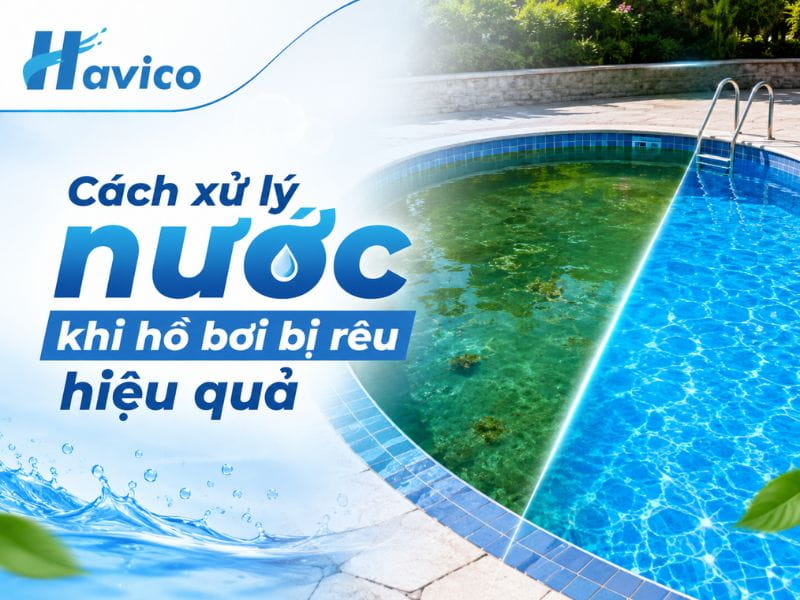 Cách xử lý nước khi hồ bơi bị rêu