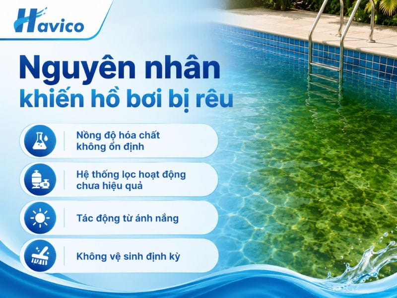 Cách xử lý nước khi hồ bơi bị rêu