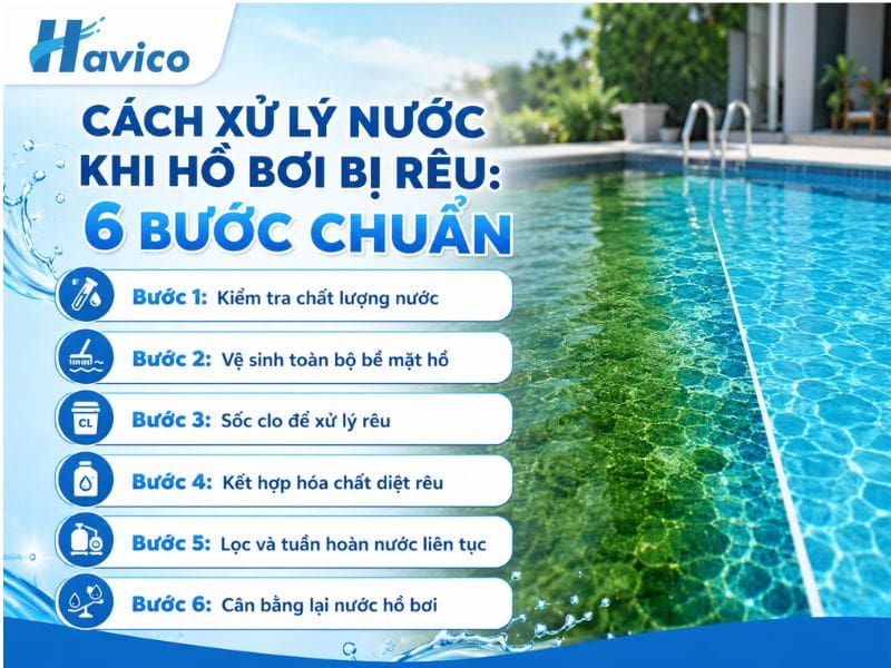 Cách xử lý nước khi hồ bơi bị rêu