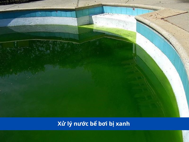 Xử lý nước bể bơi bị xanh