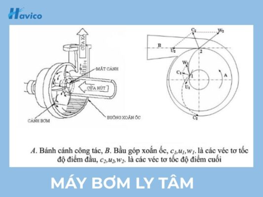 Máy bơm bể bơi ly tâm