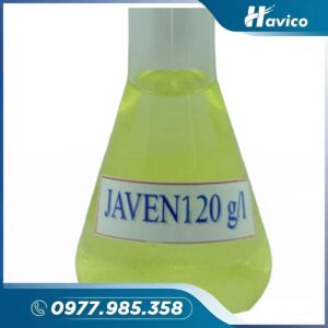 Alternative view of Javen