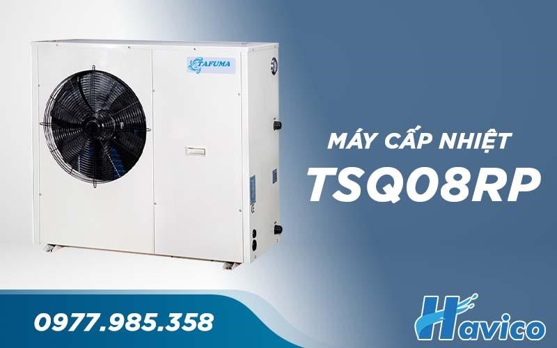 Havico bàn giao công trình thi công bể bơi tại Xã Lý Nhân, tỉnh Ninh Bình 