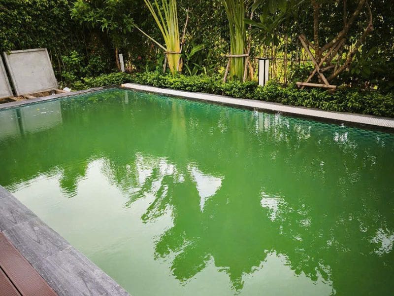 Havico bàn giao công trình vệ sinh bể bơi tại Lai Châu