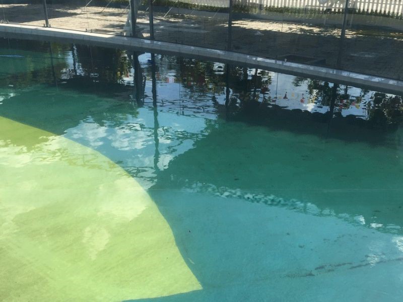 Havico bàn giao công trình vệ sinh bể bơi tại xã Trà Giang, Hưng Yên