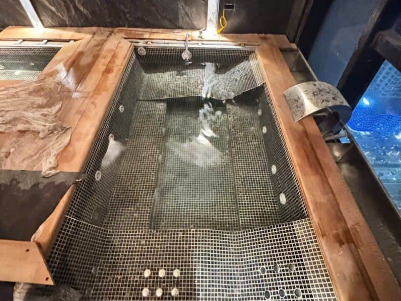 Havico bàn giao công trình thi công bể sục tại xã Đồng Bằng, Hưng Yên
