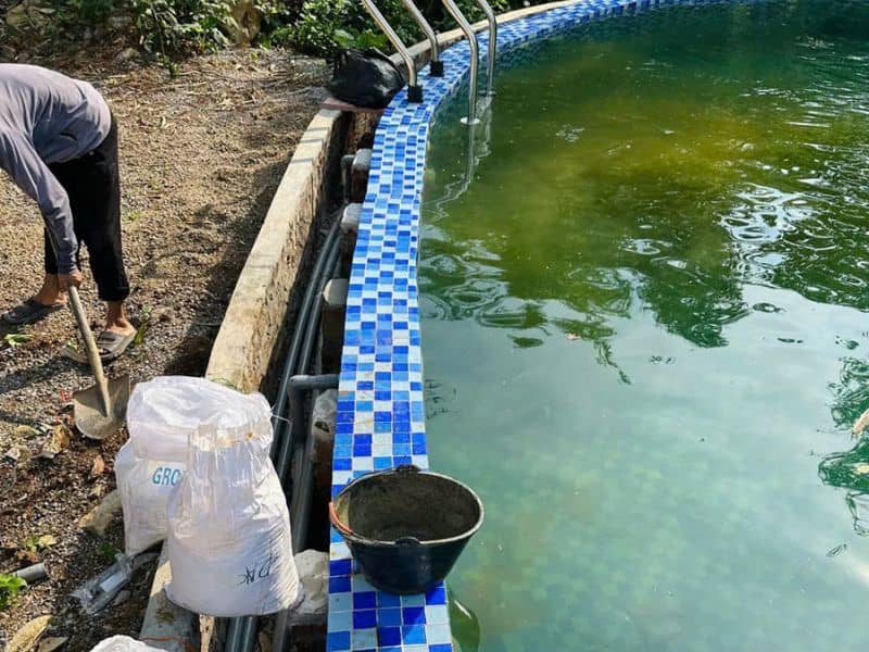 Havico bàn giao công trình vệ sinh bể bơi tại khu nghỉ dưỡng cao cấp Sapa