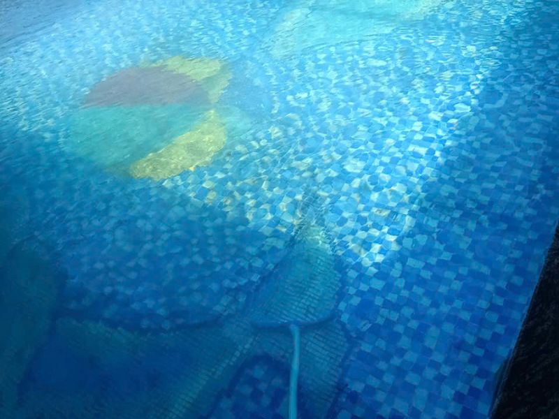 Havico bàn giao công trình vệ sinh bể bơi tại xã Liên Minh, Phú Thọ